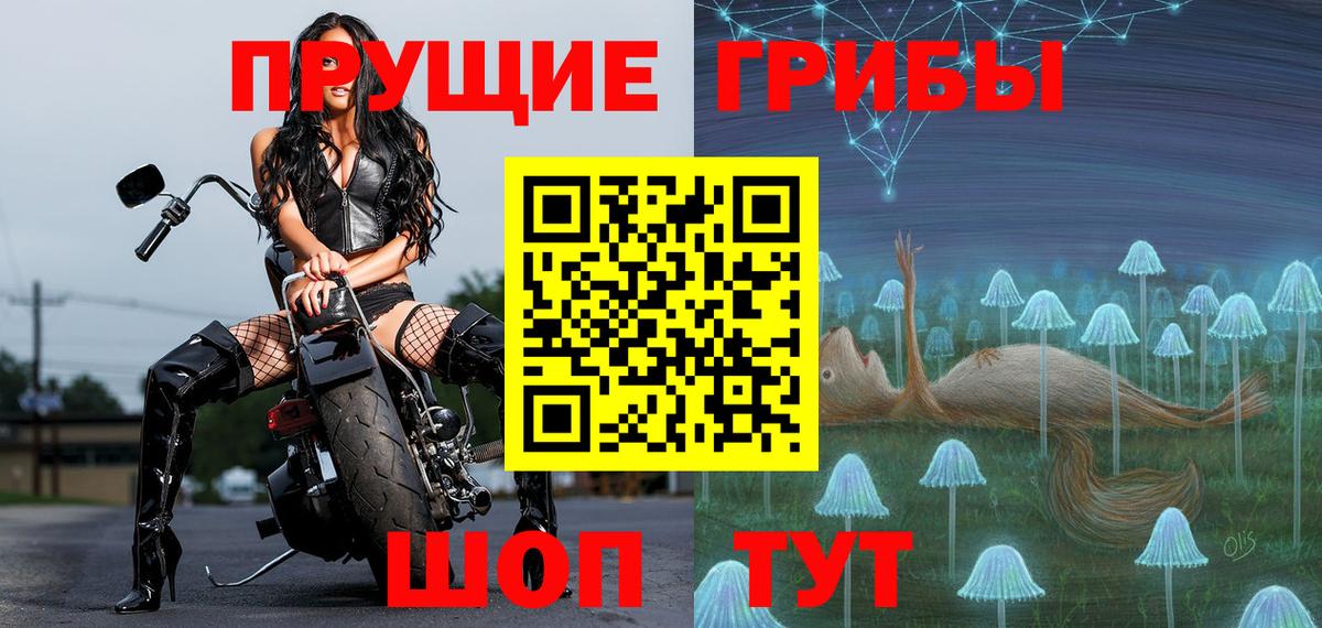 Псилоцибиновые грибы Psilocybine cubensis  Вход с VPN  Карталы 